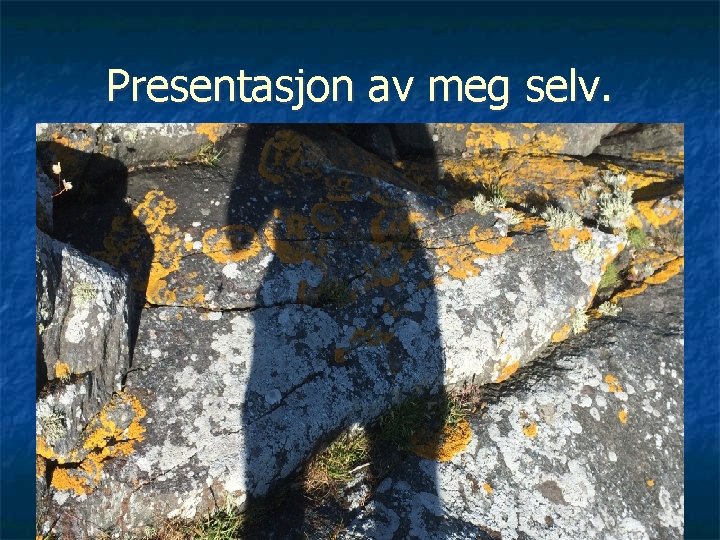 Presentasjon av meg selv. 