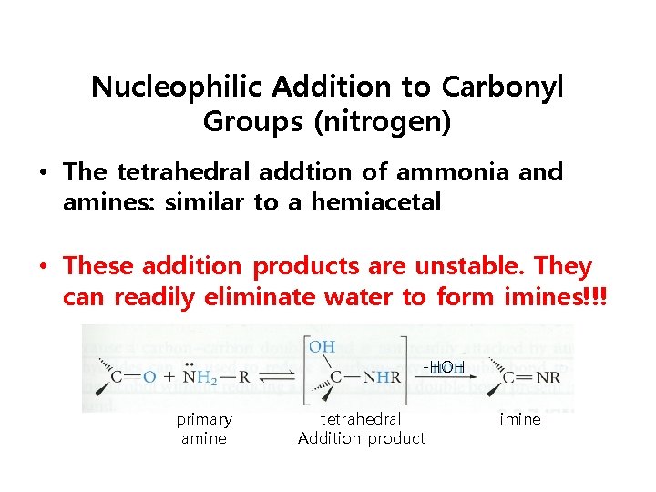 Nucleophilic Addition to Carbonyl Groups (nitrogen) • The tetrahedral addtion of ammonia and amines: