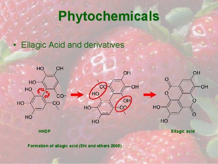 Phytochemicals • Ellagic Acid and derivatives HHDP Formation of ellagic acid (Shi and others