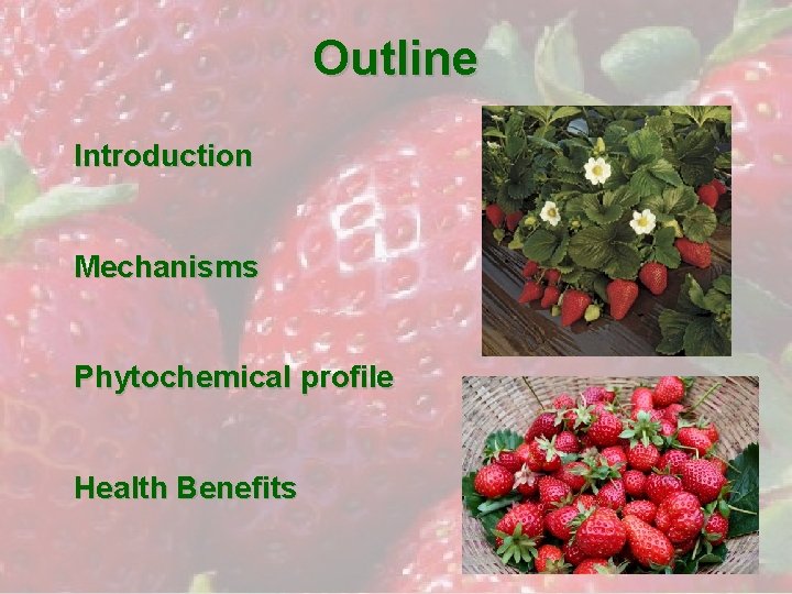 Outline Introduction Mechanisms Phytochemical profile Health Benefits 