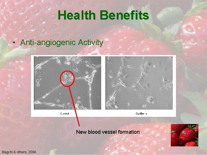 Health Benefits • Anti-angiogenic Activity New blood vessel formation Bagchi & others, 2004 