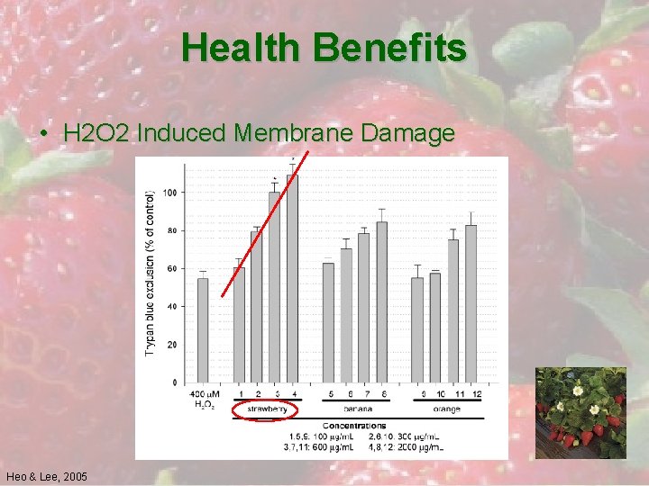 Health Benefits • H 2 O 2 Induced Membrane Damage Heo & Lee, 2005