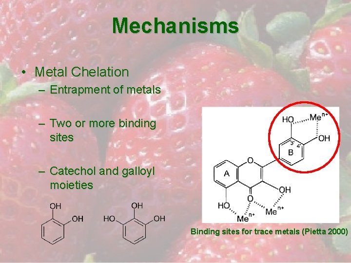 Mechanisms • Metal Chelation – Entrapment of metals – Two or more binding sites