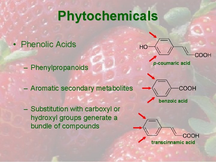 Phytochemicals • Phenolic Acids – Phenylpropanoids p-coumaric acid – Aromatic secondary metabolites benzoic acid