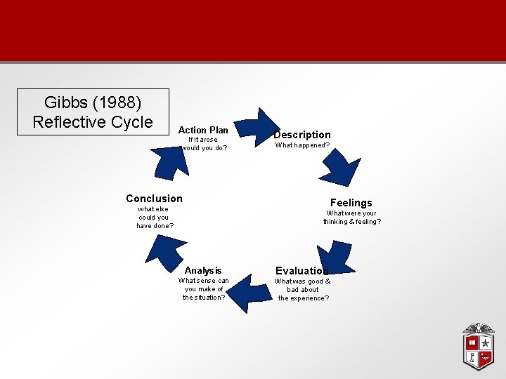 Gibbs (1988) Reflective Cycle Action Plan If it arose would you do? Description What