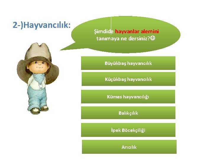 2 -)Hayvancılık: Şimdide hayvanlar alemini tanımaya ne dersiniz? Büyükbaş hayvancılık Küçükbaş hayvancılık Kümes hayvancılığı