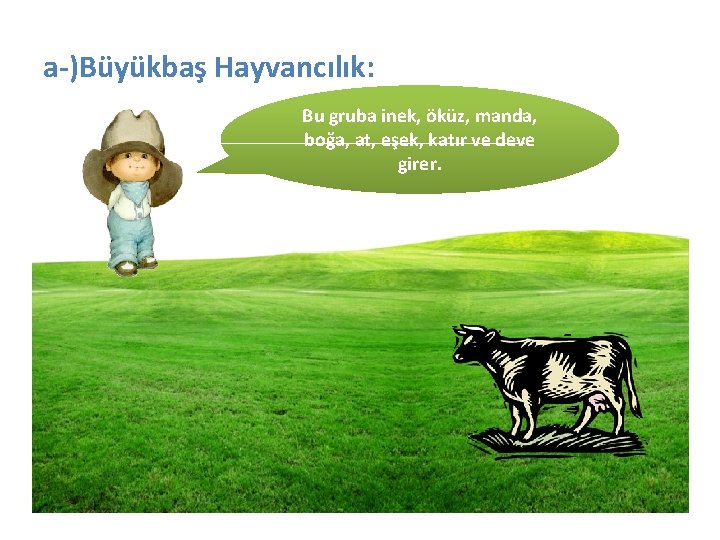 a-)Büyükbaş Hayvancılık: Bu gruba inek, öküz, manda, boğa, at, eşek, katır ve deve girer.