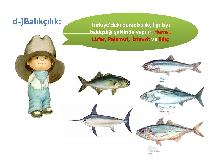 d-)Balıkçılık: Türkiye’deki deniz balıkçılığı kıyı balıkçılığı şeklinde yapılır. Hamsi, Lüfer, Palamut, İstavrit ve Kılıç