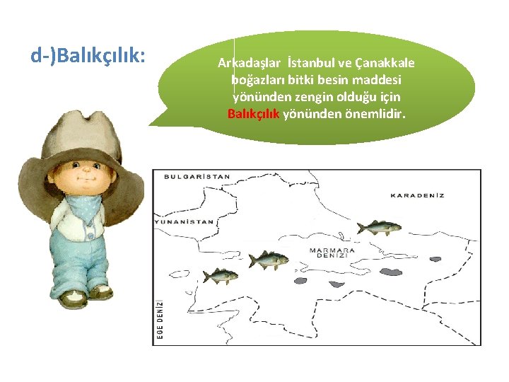 d-)Balıkçılık: Arkadaşlar İstanbul ve Çanakkale boğazları bitki besin maddesi yönünden zengin olduğu için Balıkçılık