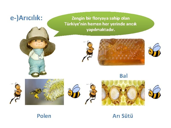 e-)Arıcılık: Zengin bir floryaya sahip olan Türkiye’nin hemen her yerinde arıcık yapılmaktadır. Bal Polen
