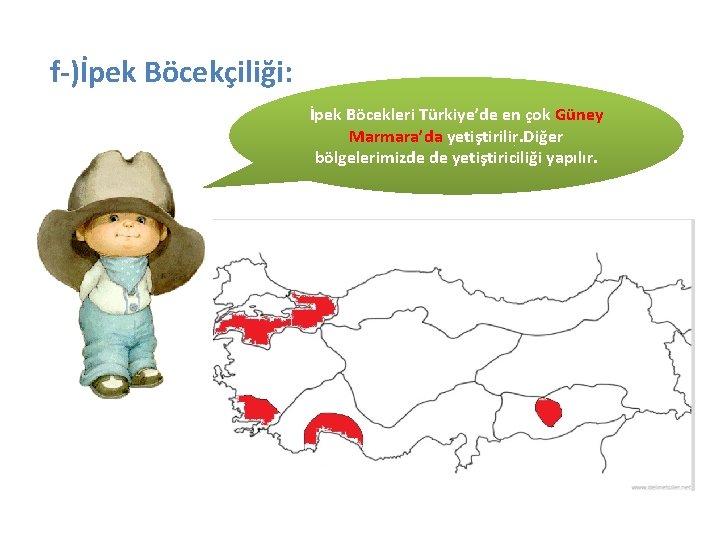f-)İpek Böcekçiliği: İpek Böcekleri Türkiye’de en çok Güney Marmara’da yetiştirilir. Diğer bölgelerimizde de yetiştiriciliği