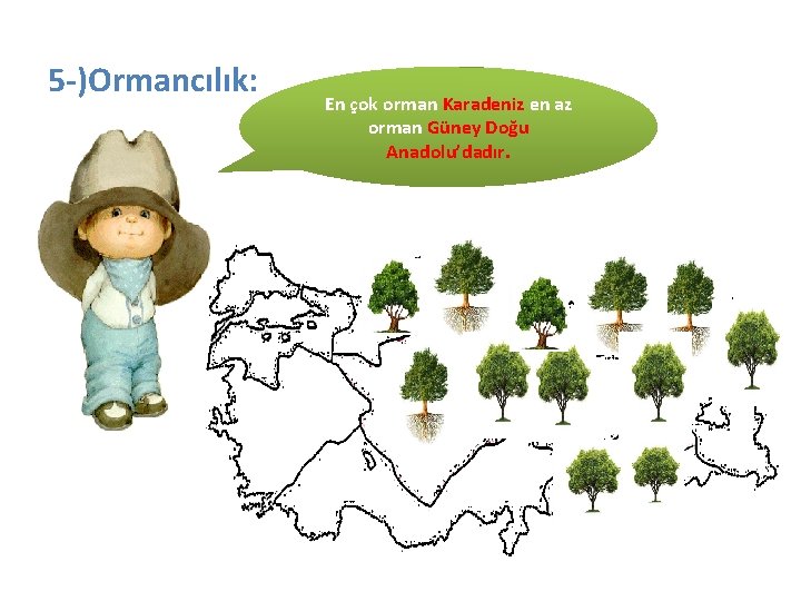 5 -)Ormancılık: En çok orman Karadeniz en az orman Güney Doğu Anadolu’dadır. 