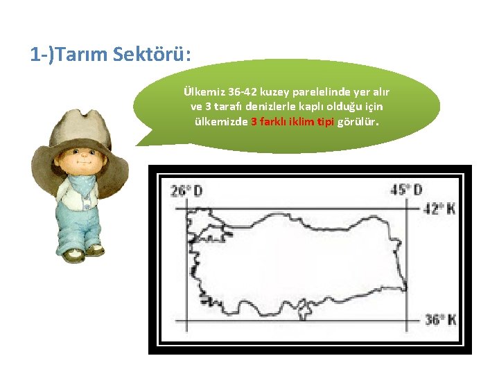 1 -)Tarım Sektörü: Ülkemiz 36 -42 kuzey parelelinde yer alır ve 3 tarafı denizlerle