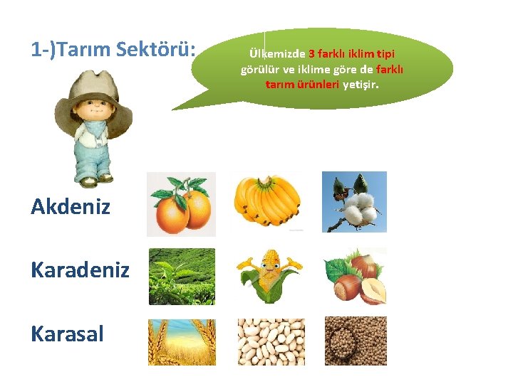 1 -)Tarım Sektörü: Akdeniz Karasal Ülkemizde 3 farklı iklim tipi görülür ve iklime göre