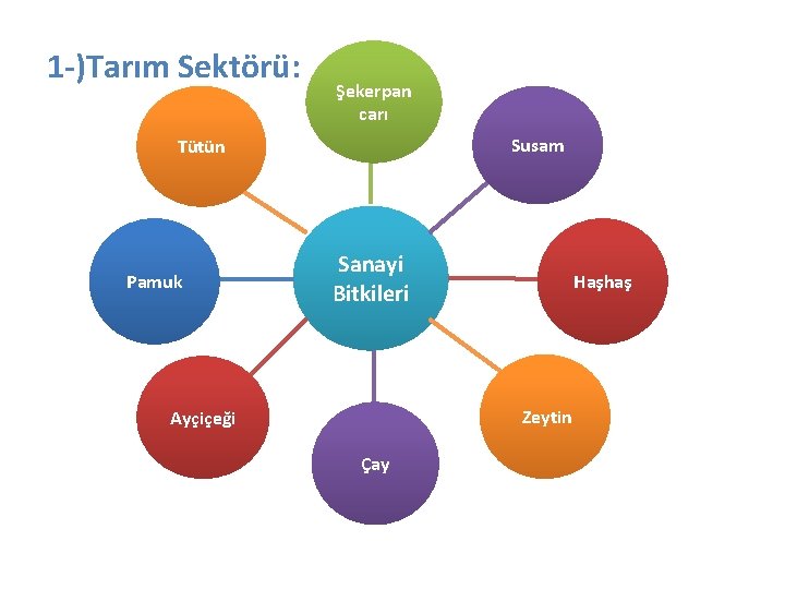 1 -)Tarım Sektörü: Şekerpan carı Susam Tütün Pamuk Sanayi Bitkileri Haşhaş Zeytin Ayçiçeği Çay