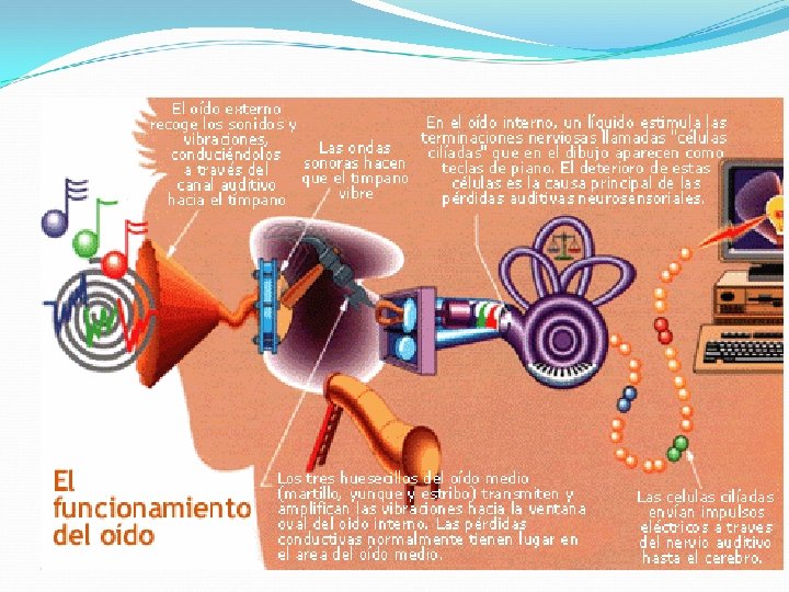 FUNCIONAMIENTO 