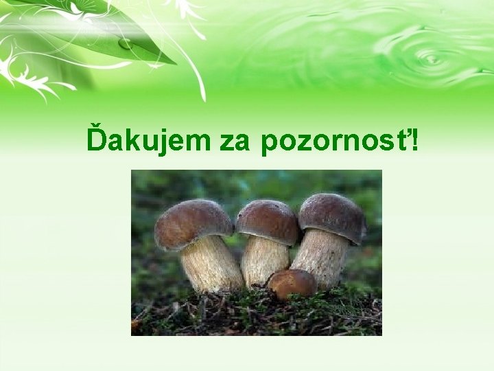 Ďakujem za pozornosť! 