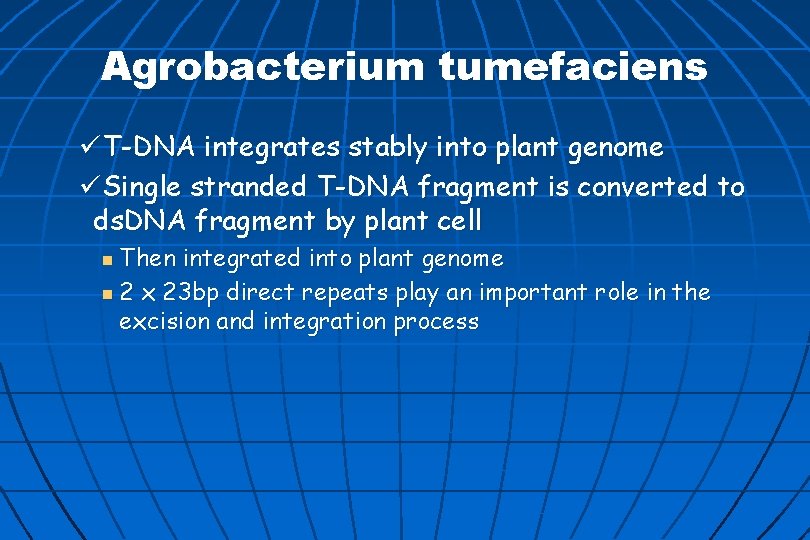 Agrobacterium tumefaciens üT-DNA integrates stably into plant genome üSingle stranded T-DNA fragment is converted