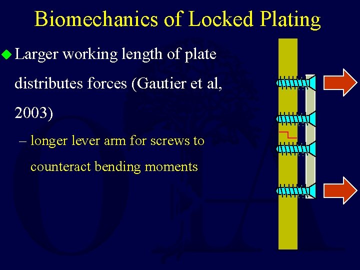 Biomechanics of Locked Plating u Larger working length of plate distributes forces (Gautier et