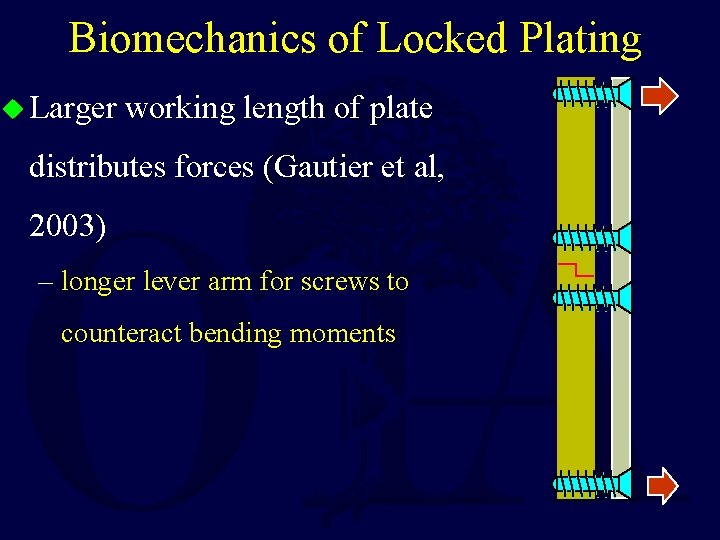 Biomechanics of Locked Plating u Larger working length of plate distributes forces (Gautier et