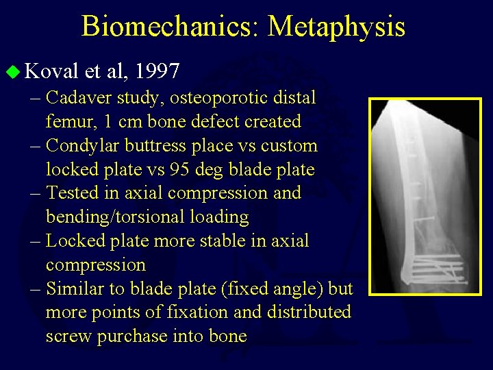 Biomechanics: Metaphysis u Koval et al, 1997 – Cadaver study, osteoporotic distal femur, 1