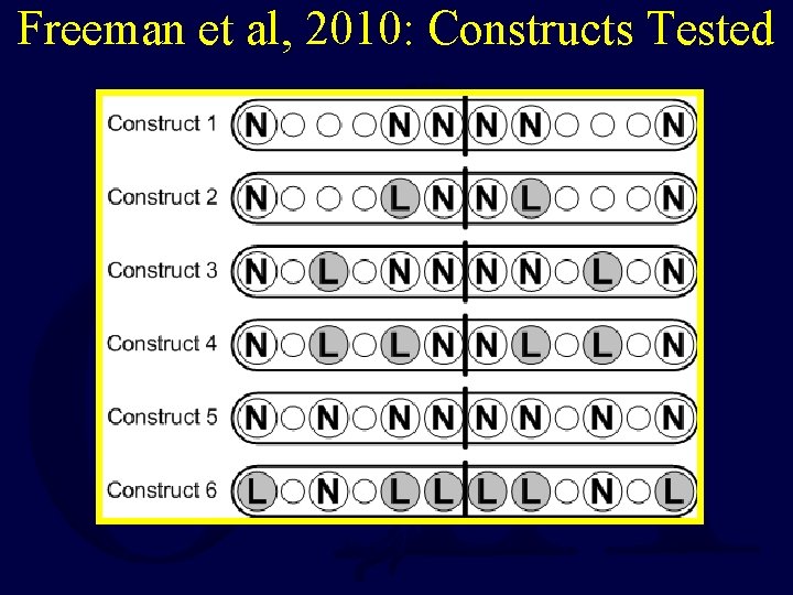 Freeman et al, 2010: Constructs Tested 