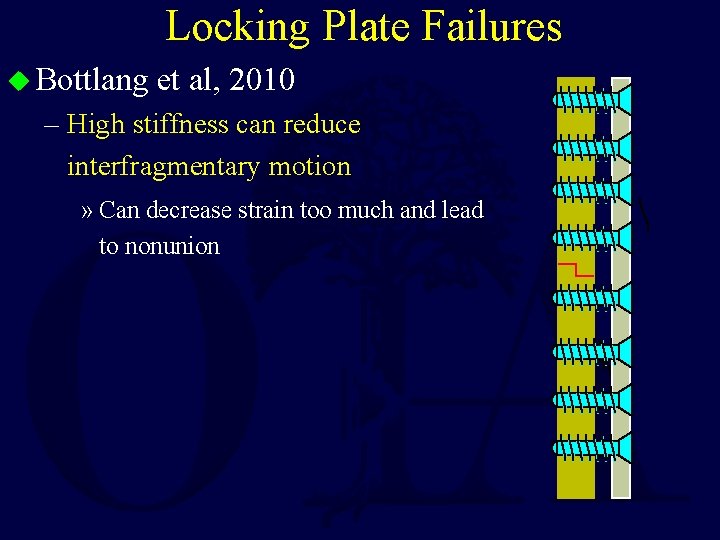 Locking Plate Failures u Bottlang et al, 2010 – High stiffness can reduce interfragmentary