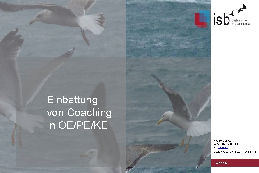 Einbettung von Coaching in OE/PE/KE CC-by-Lizenz, Autor: Bernd Schmid für isb-w. eu Systemische Professionalität