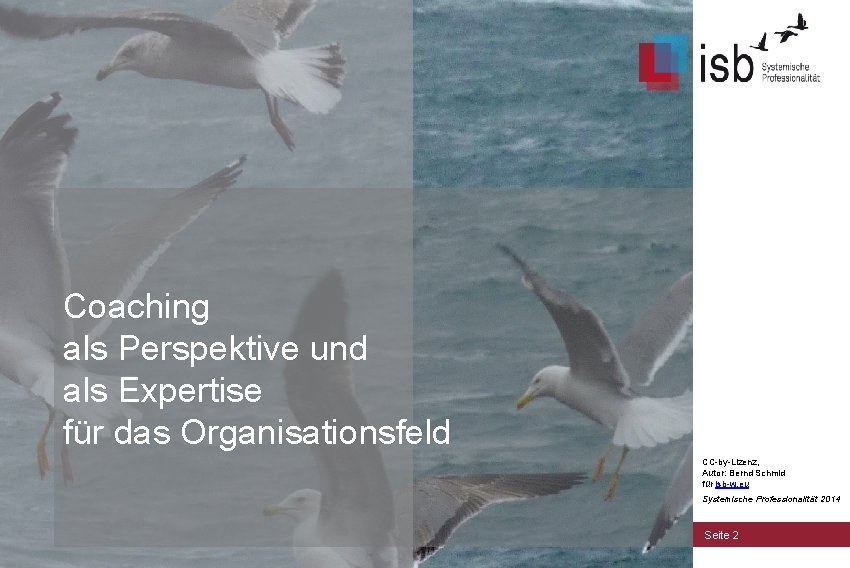 Coaching als Perspektive und als Expertise für das Organisationsfeld CC-by-Lizenz, Autor: Bernd Schmid für