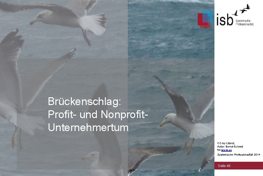 Brückenschlag: Profit- und Nonprofit. Unternehmertum CC-by-Lizenz, Autor: Bernd Schmid für isb-w. eu Systemische Professionalität