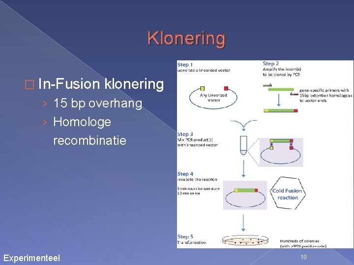 Klonering � In-Fusion klonering › 15 bp overhang › Homologe recombinatie Experimenteel 10 