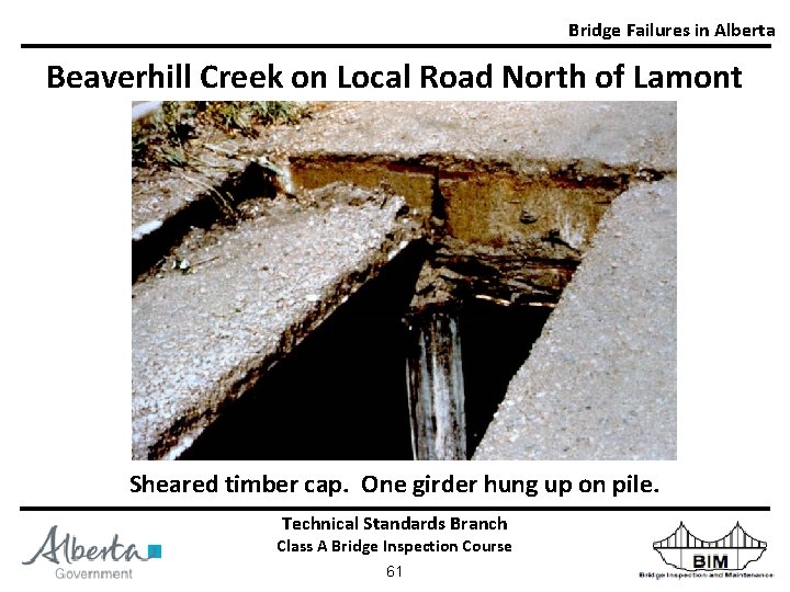 Bridge Failures in Alberta Beaverhill Creek on Local Road North of Lamont Sheared timber