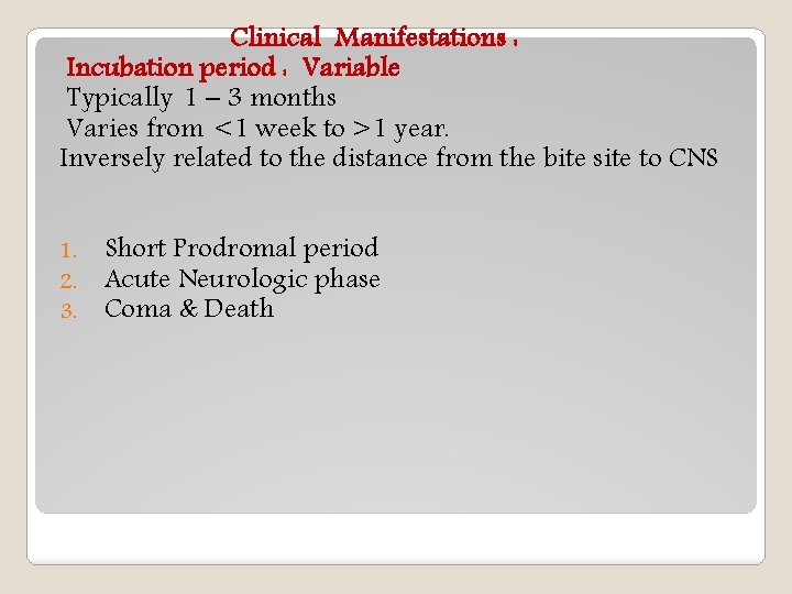 Clinical Manifestations : Incubation period : Variable Typically 1 – 3 months Varies from