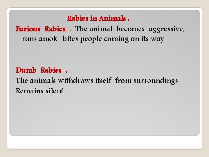 Rabies in Animals : Furious Rabies : The animal becomes aggressive, runs amok, bites