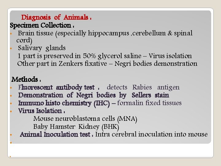 Diagnosis of Animals : Specimen Collection : • Brain tissue (especially hippocampus , cerebellum