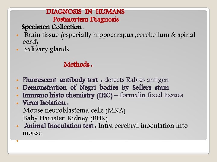 DIAGNOSIS IN HUMANS Postmortem Diagnosis Specimen Collection : • Brain tissue (especially hippocampus ,