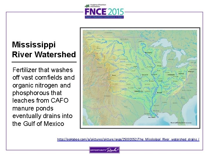 Mississippi River Watershed Fertilizer that washes off vast cornfields and organic nitrogen and phosphorous