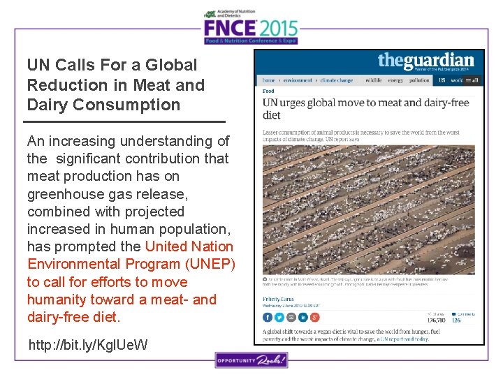 UN Calls For a Global Reduction in Meat and Dairy Consumption An increasing understanding