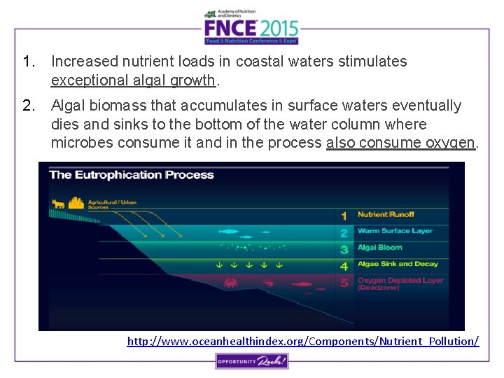 1. Increased nutrient loads in coastal waters stimulates exceptional algal growth. 2. Algal biomass