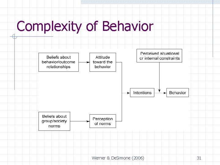 Complexity of Behavior Werner & De. Simone (2006) 31 