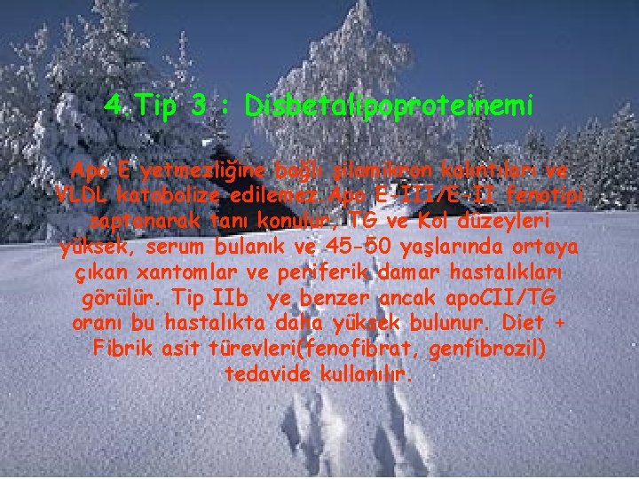 4. Tip 3 : Disbetalipoproteinemi Apo E yetmezliğine bağlı şilomikron kalıntıları ve VLDL katobolize