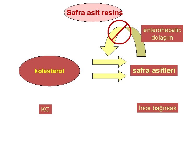 Safra asit resins enterohepatic dolaşım kolesterol KC safra asitleri İnce bağırsak 