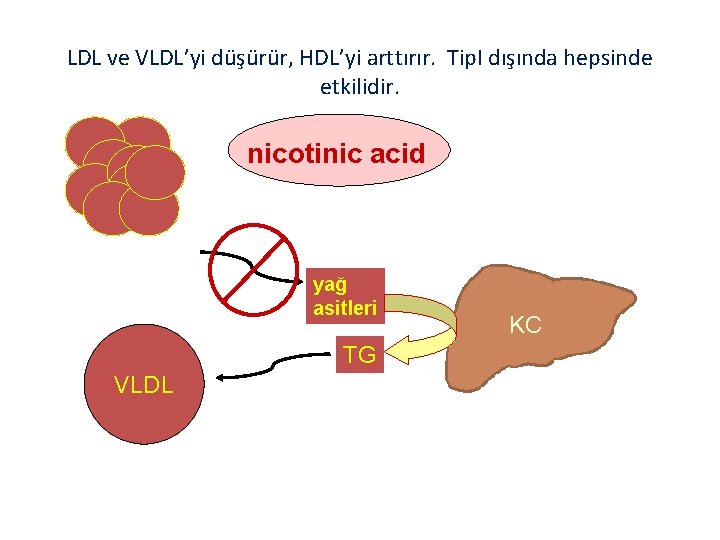 LDL ve VLDL’yi düşürür, HDL’yi arttırır. Tip. I dışında hepsinde etkilidir. nicotinic acid yağ