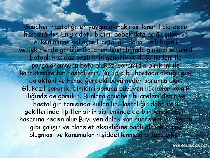 Gaucher hastalığı, en yaygın olarak rastlanan lipid depo hastalığıdır. En şiddetli biçimi bebeklikte açığa