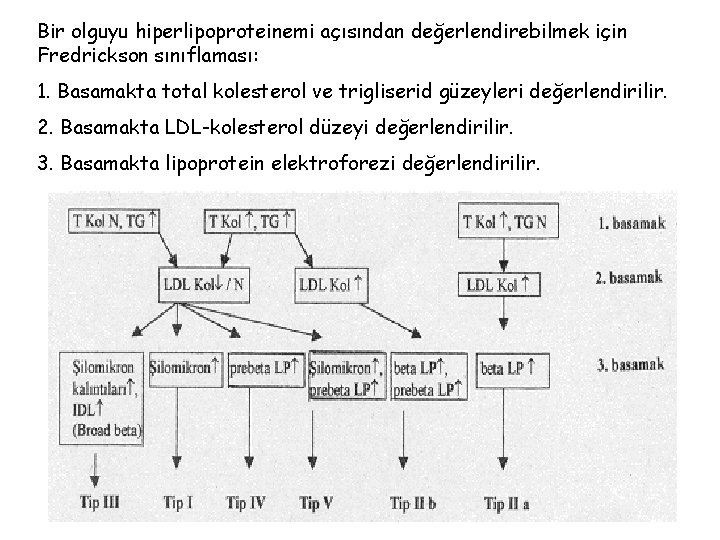 Bir olguyu hiperlipoproteinemi açısından değerlendirebilmek için Fredrickson sınıflaması: 1. Basamakta total kolesterol ve trigliserid