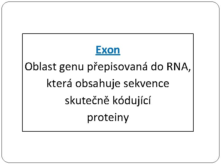 Exon Oblast genu přepisovaná do RNA, která obsahuje sekvence skutečně kódující proteiny 