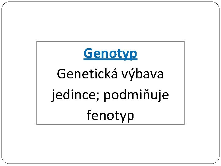 Genotyp Genetická výbava jedince; podmiňuje fenotyp 