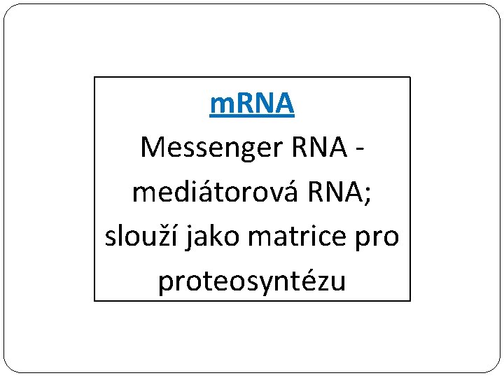 m. RNA Messenger RNA mediátorová RNA; slouží jako matrice proteosyntézu 