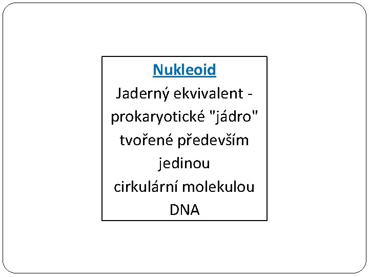 Nukleoid Jaderný ekvivalent prokaryotické "jádro" tvořené především jedinou cirkulární molekulou DNA 