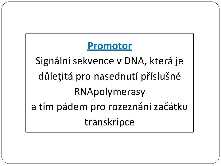 Promotor Signální sekvence v DNA, která je důleţitá pro nasednutí příslušné RNApolymerasy a tím